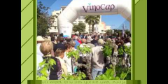 ARCHE GONFLABLE VINOCAP